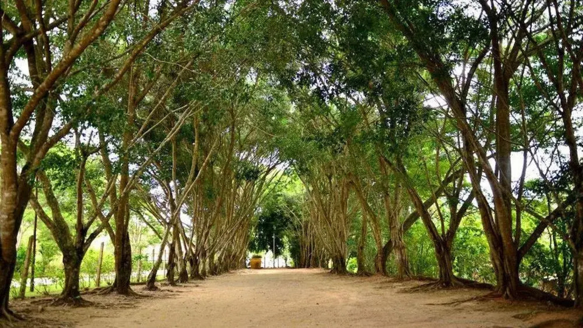 Hotel Solar dos Colibris