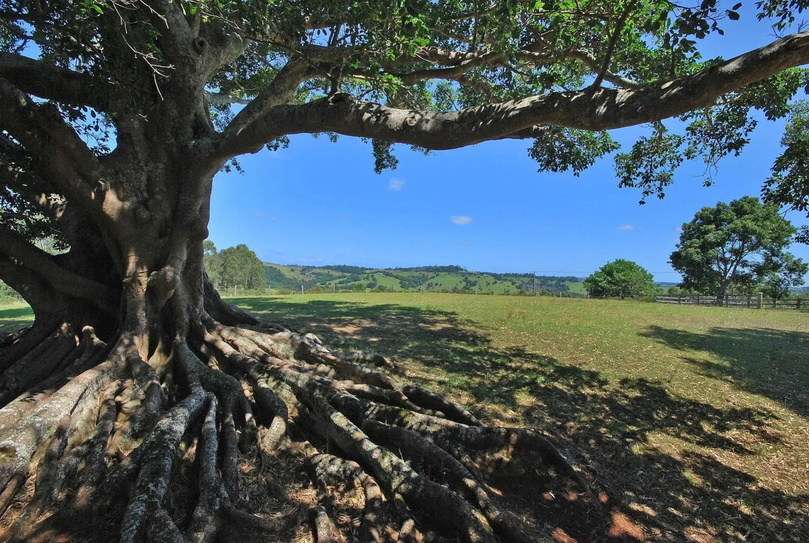 Summerhills Retreat Byron Bay