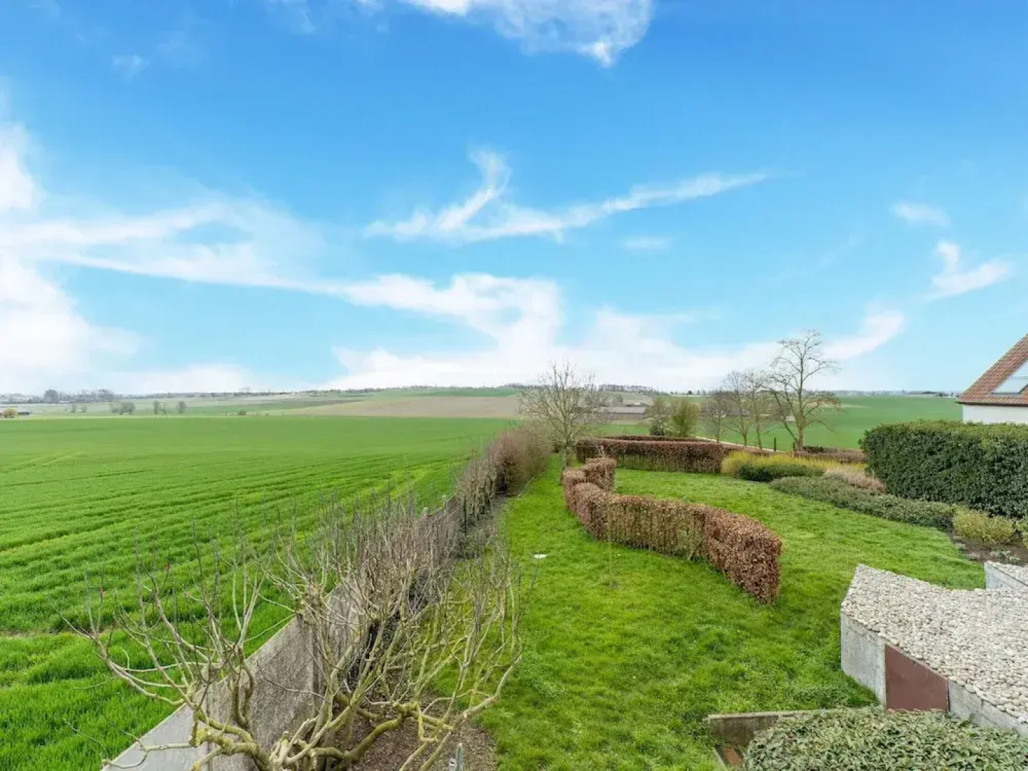 Pet-friendly Retreat