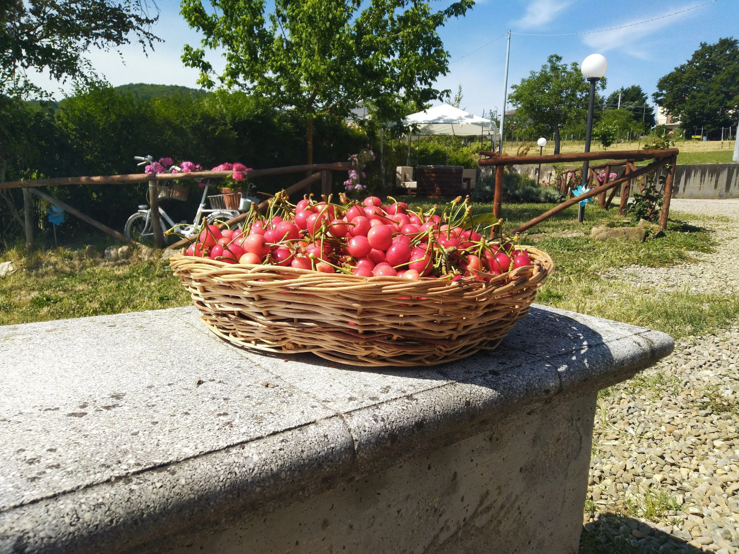 Agriturismo Casale 1921