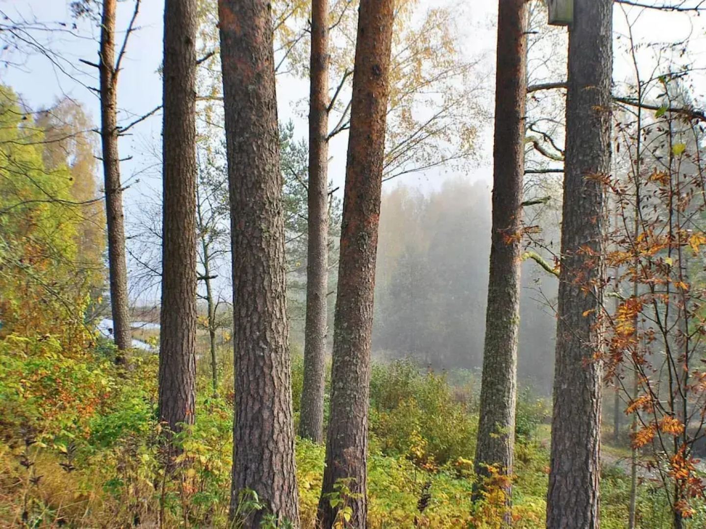 5 Person Holiday Home in Arvika-by Traum