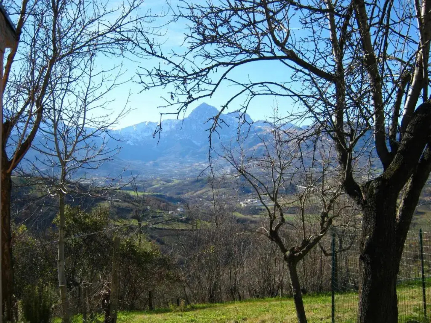 Agriturismo Bellavista