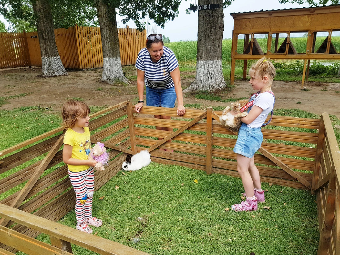 Остров Колочный