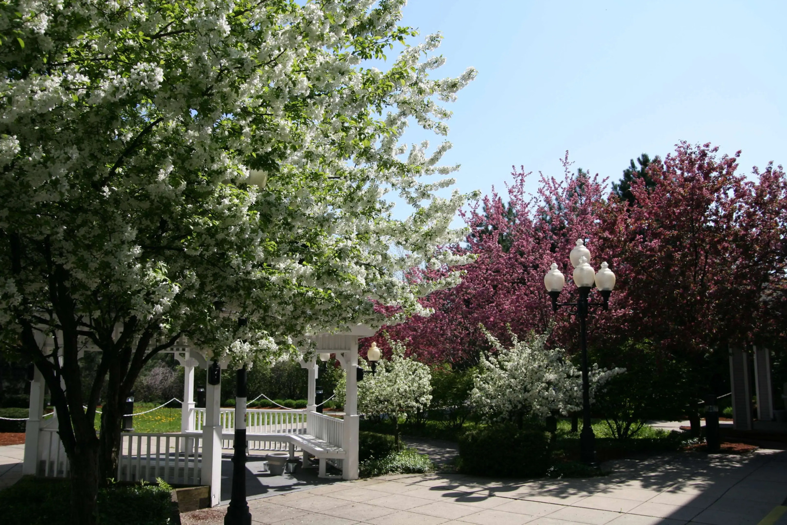 Hampton Inn Colchester