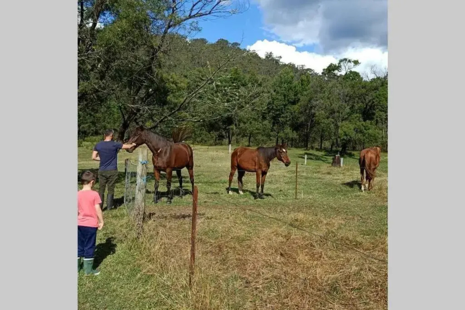 Stylish Country Retreat Wollombi Hunter valley