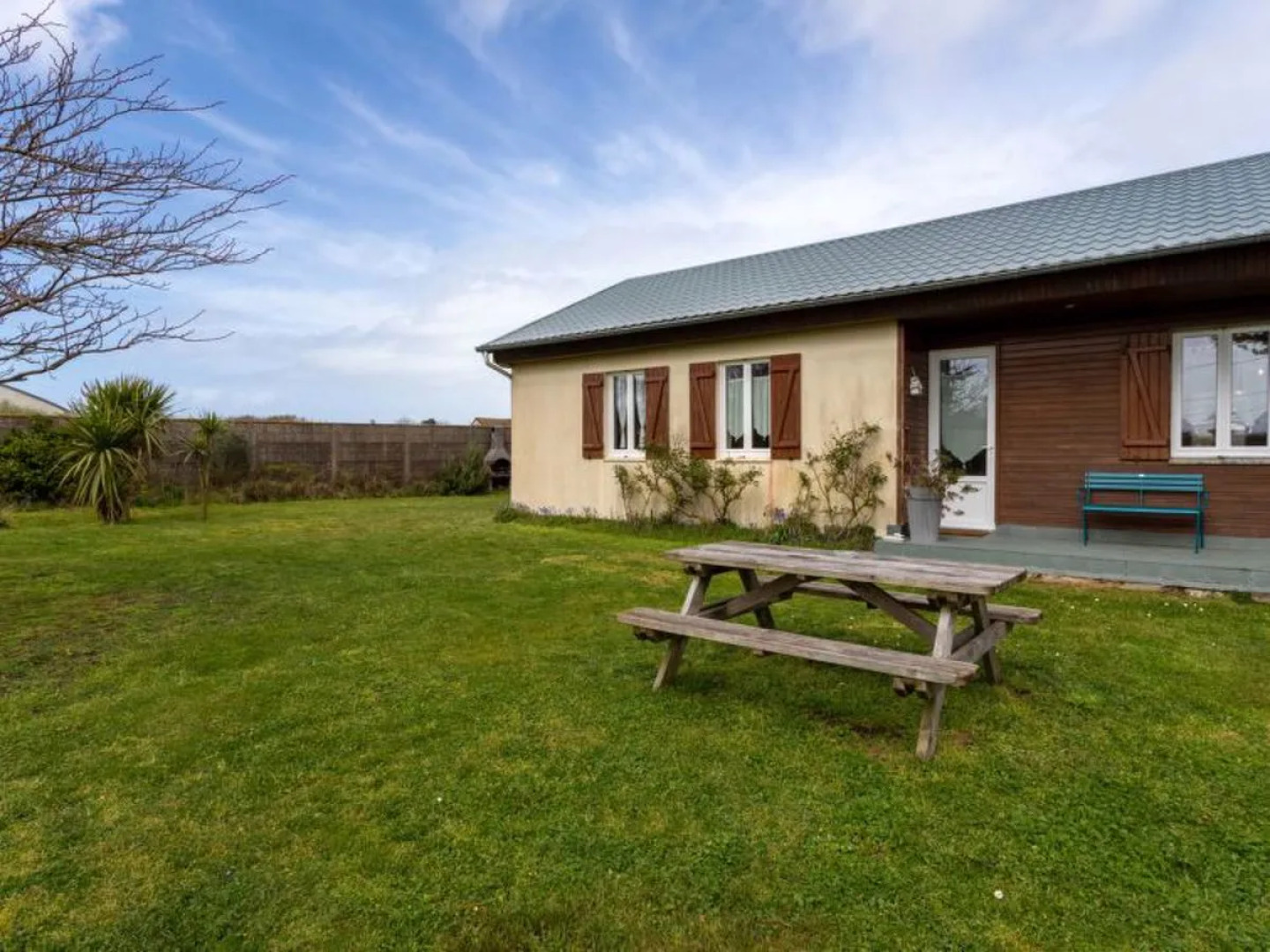 Les Cordylines (ASM400)