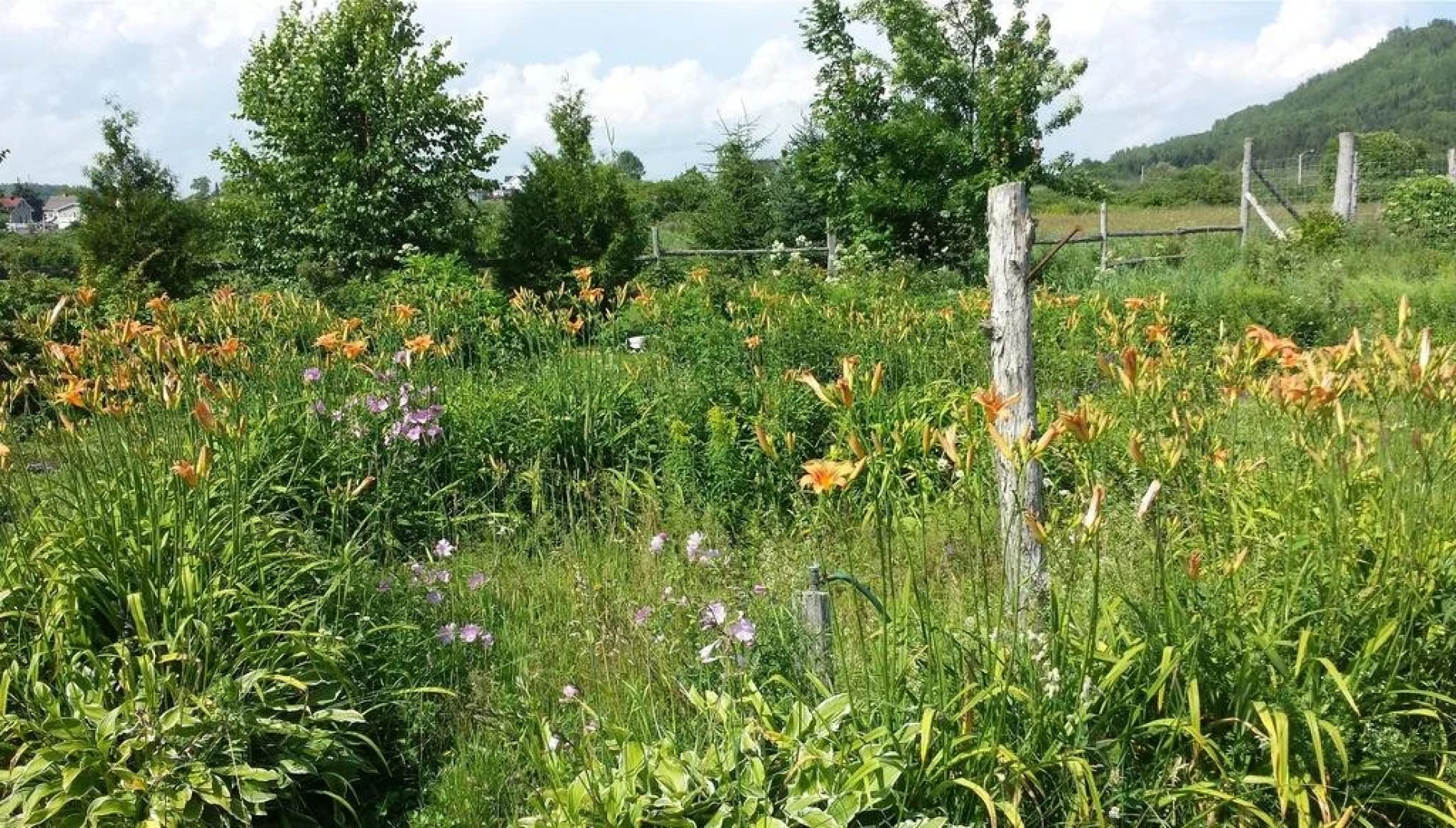 La Conche Saint-Martin