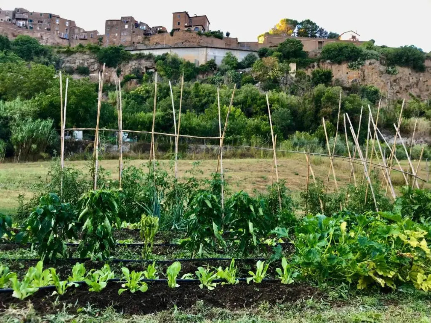 isotta country house