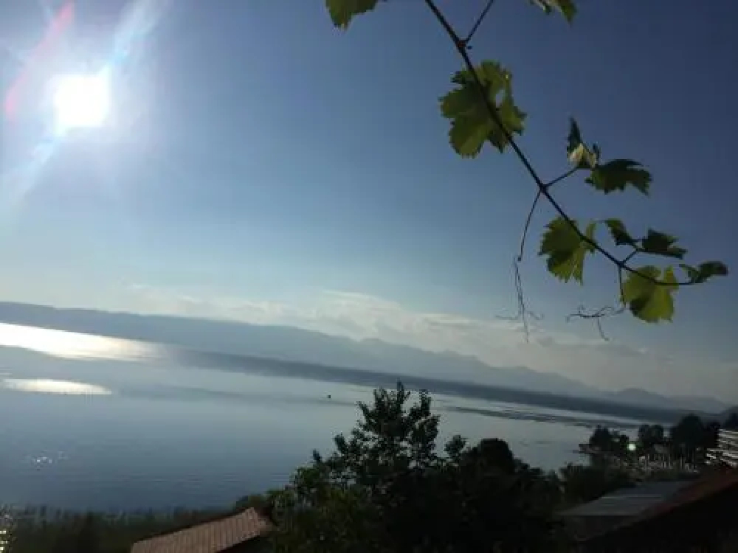 Sonce Guest House