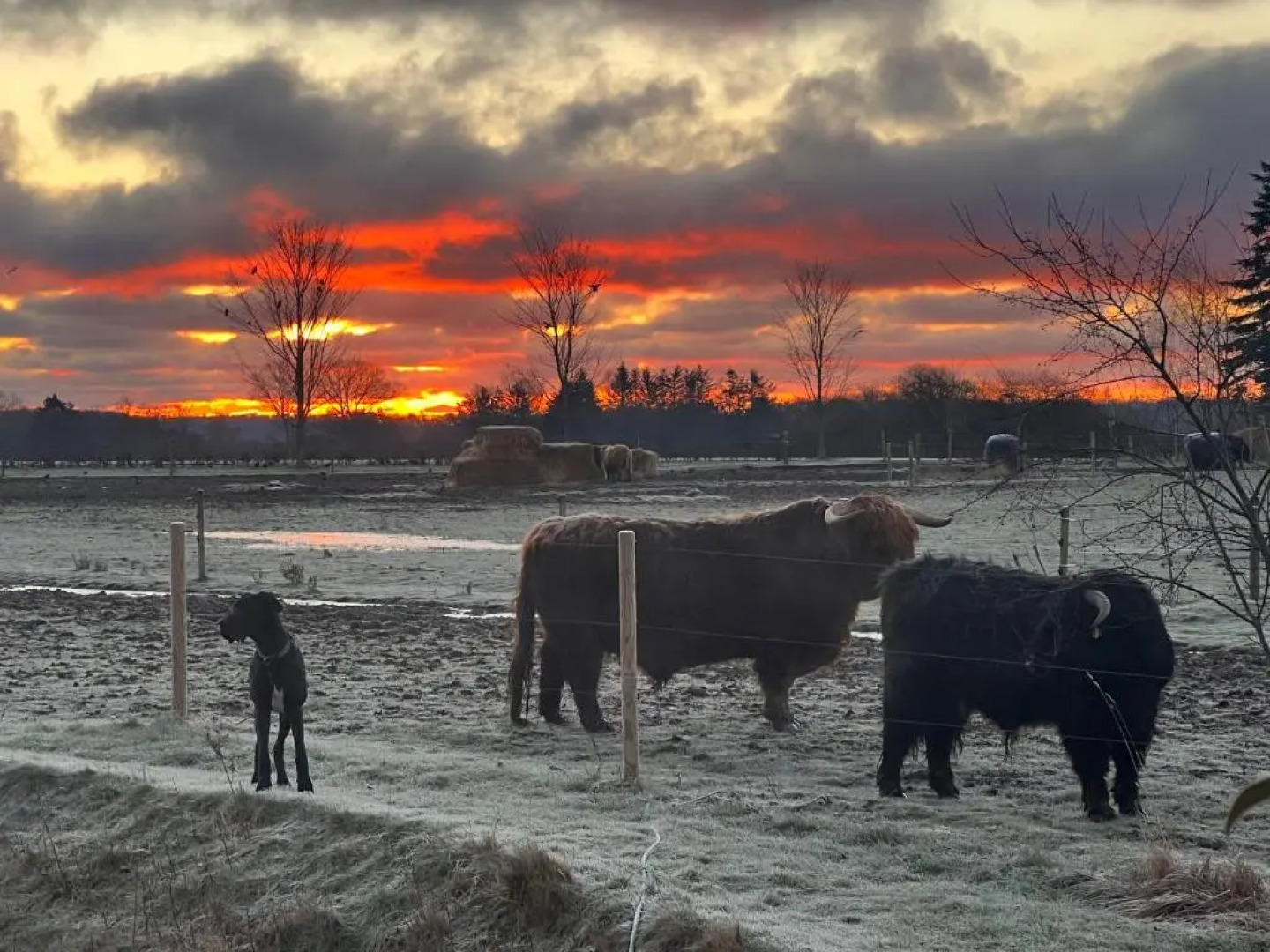 Troldegaarden Guesthouse