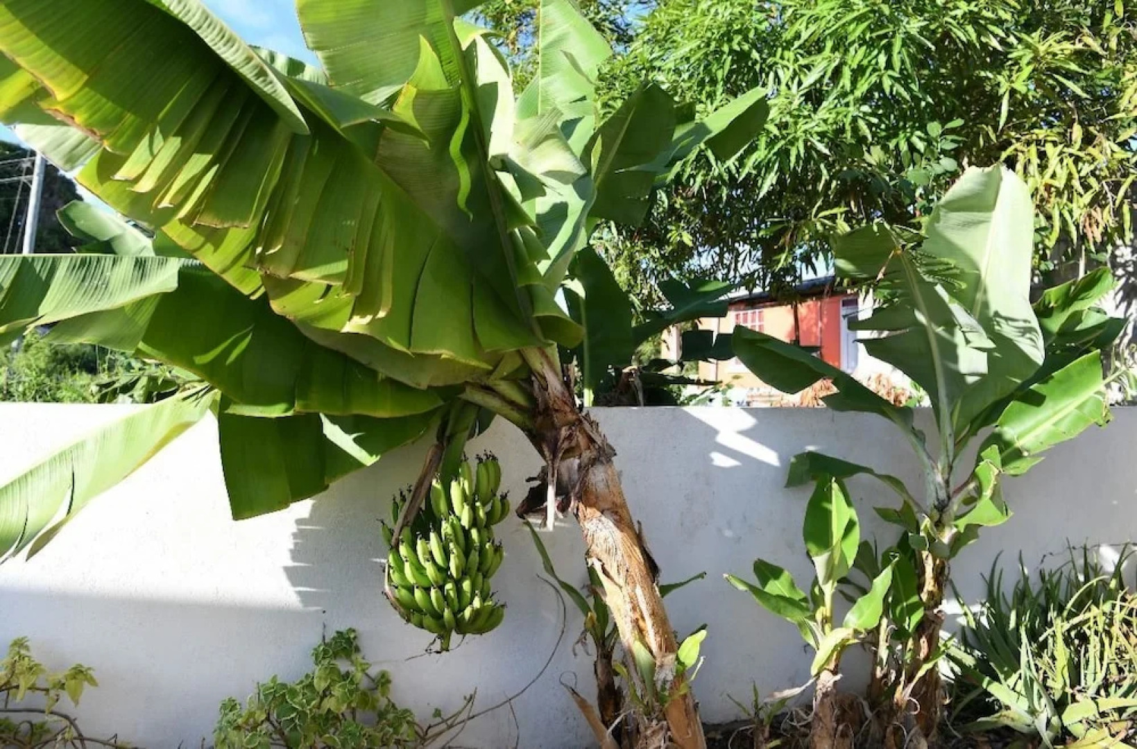 Lux Spacious 3BR Apartment