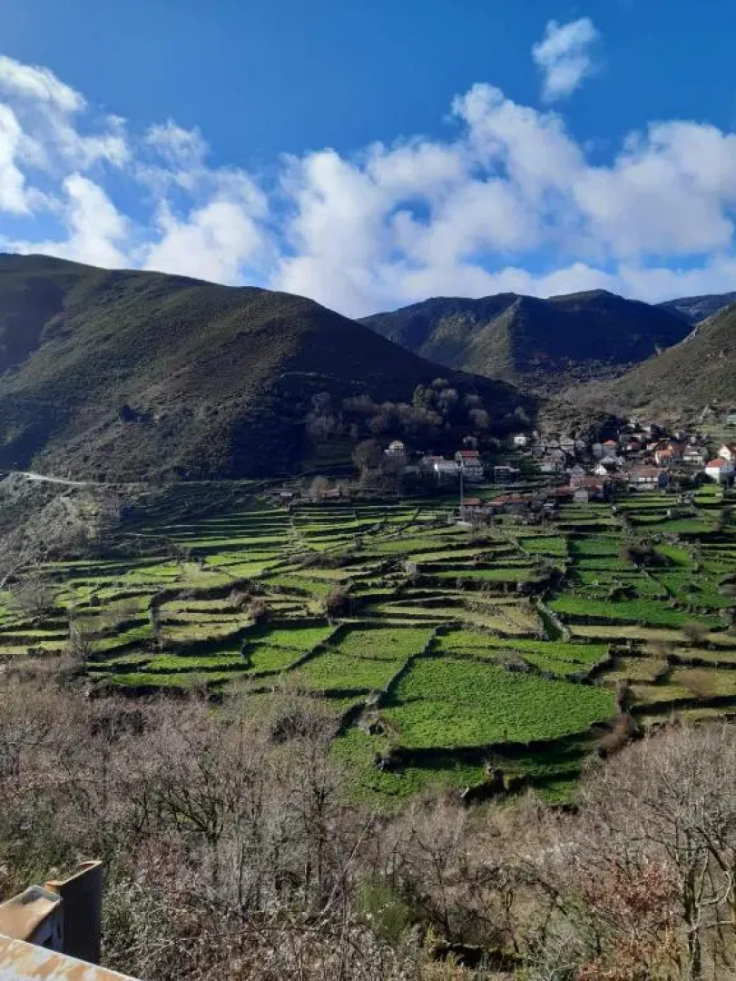 A Casa Com 2 Pereiras