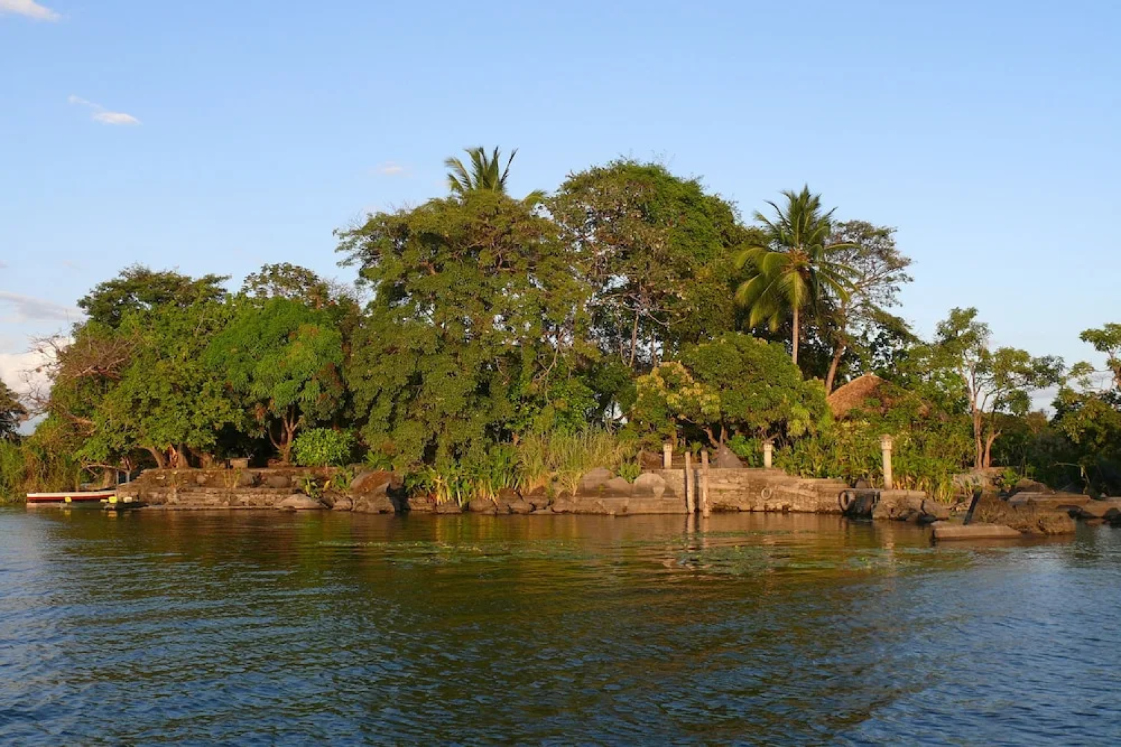 Zopango Orchids Island