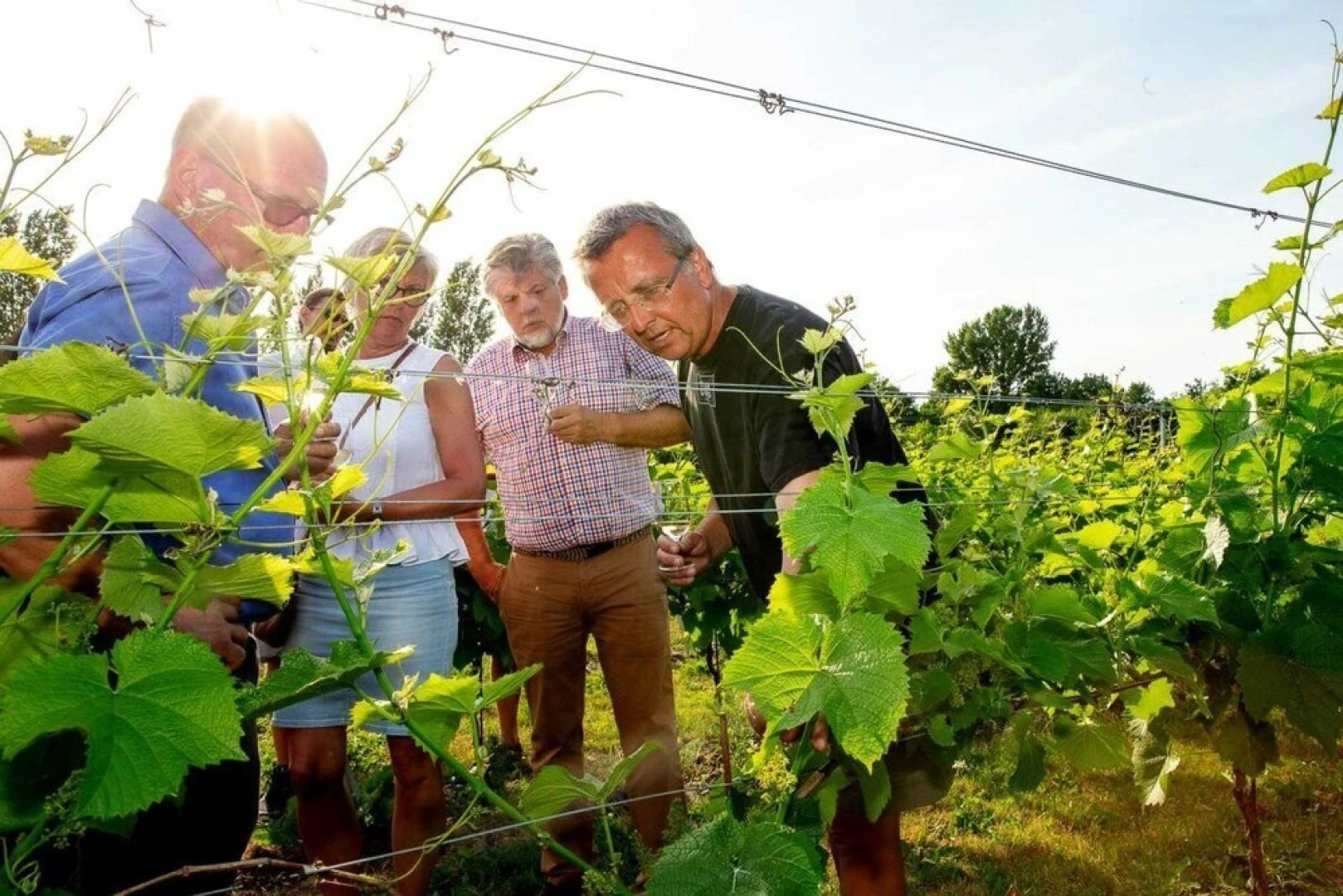 Hotel Stokkegaardens BnB & Apartments