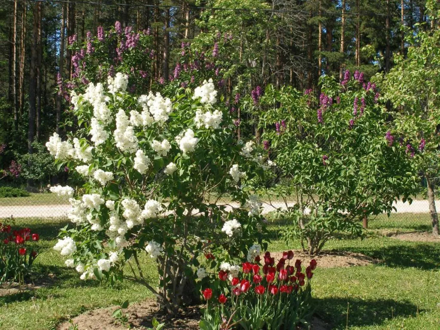 Homestay Metsaveere Turismitalu