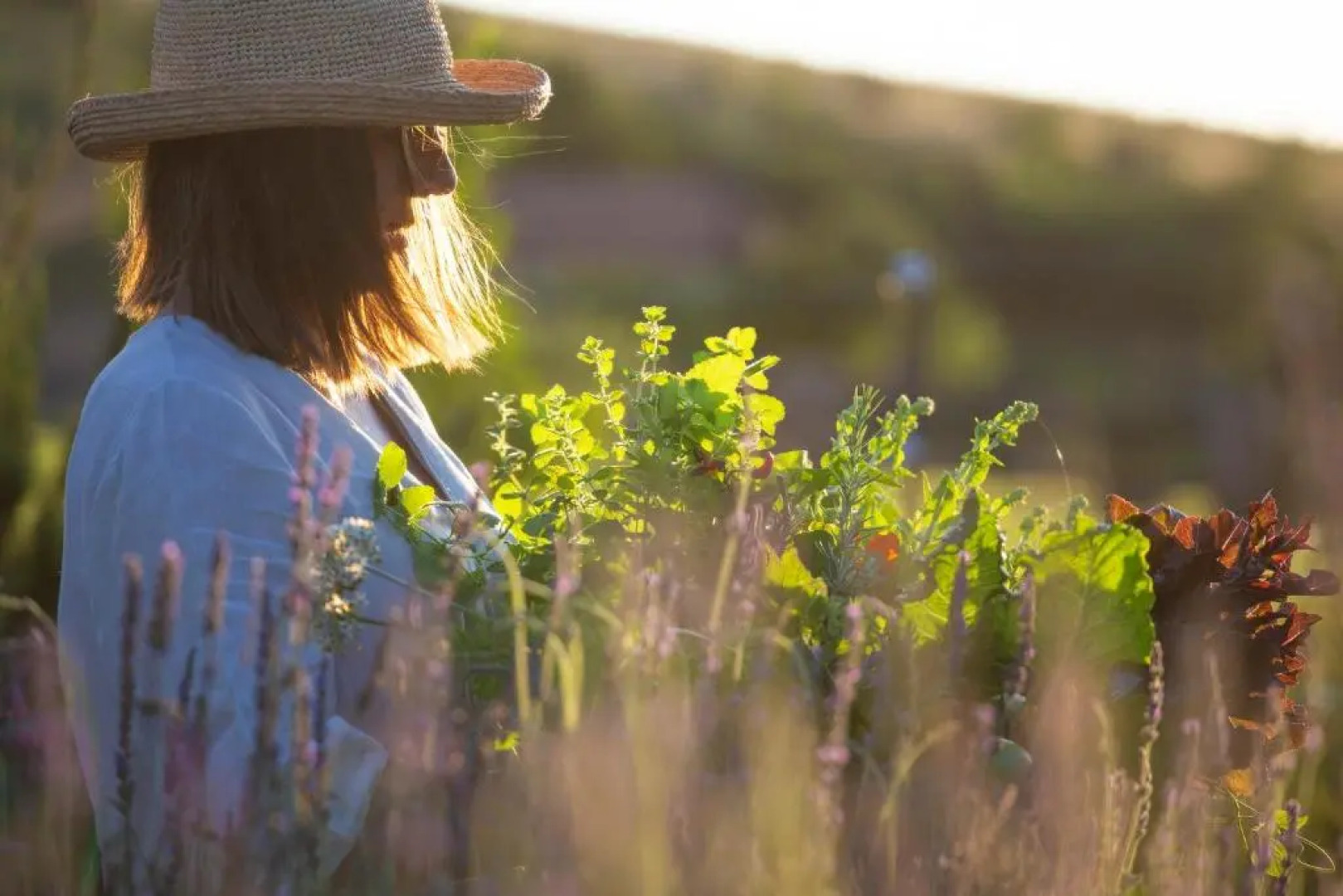 Mount High Luxury Country Lodge