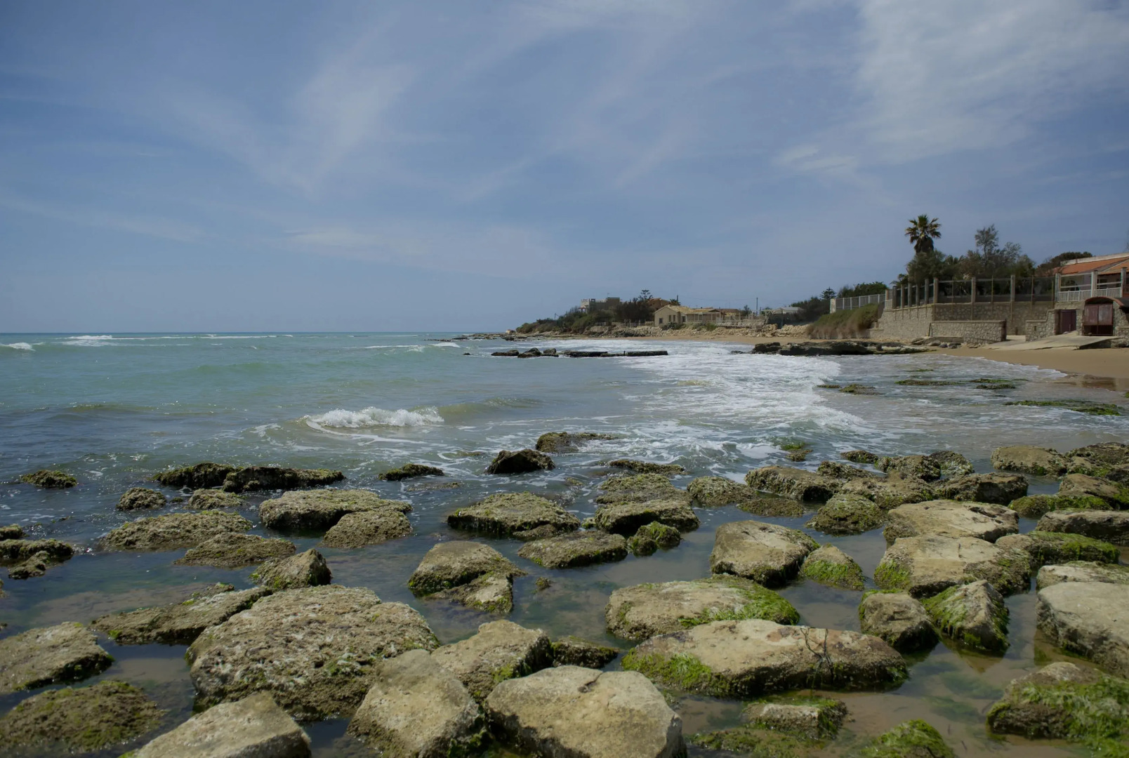 Fiori Gialli Caucana