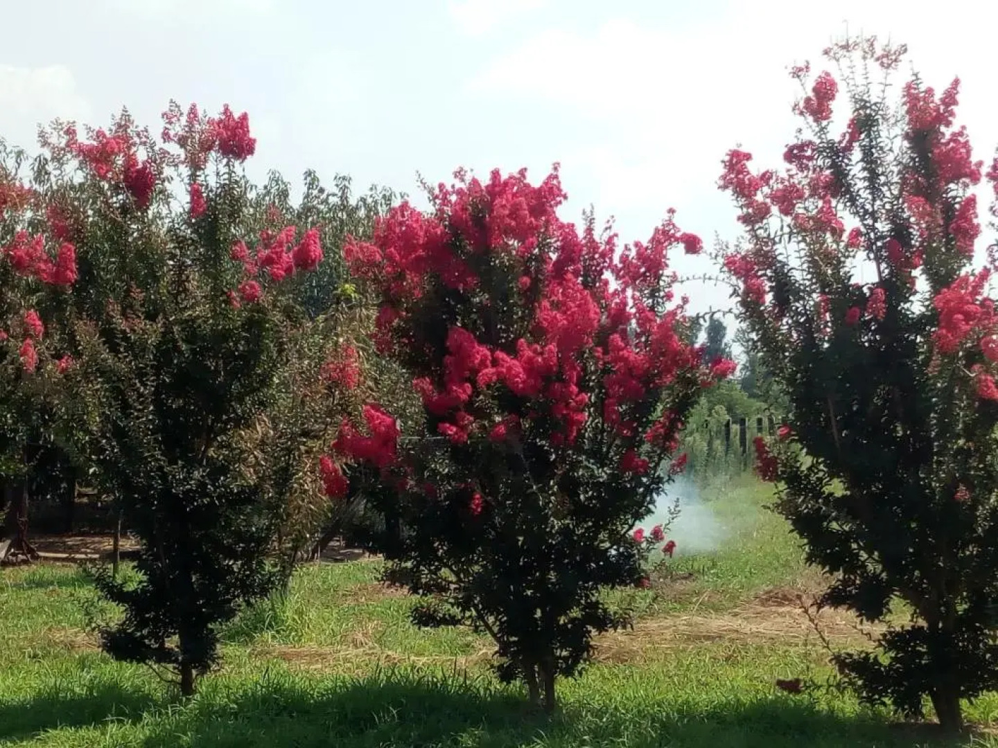 Agriturismo Cascina Aguzza
