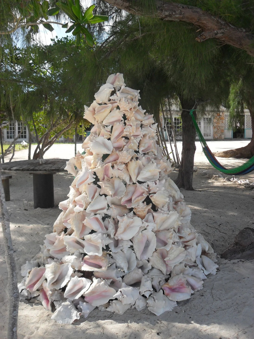 Pelican Beach Hotel