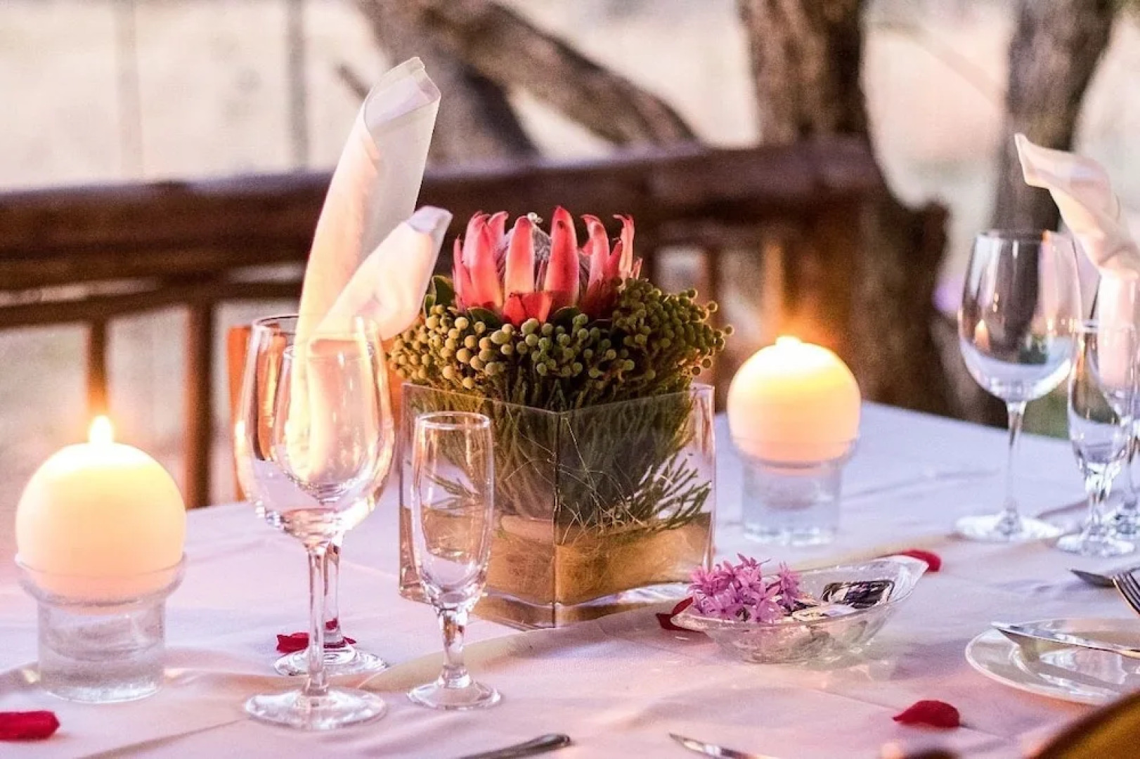 Tshikwalo Game Lodge