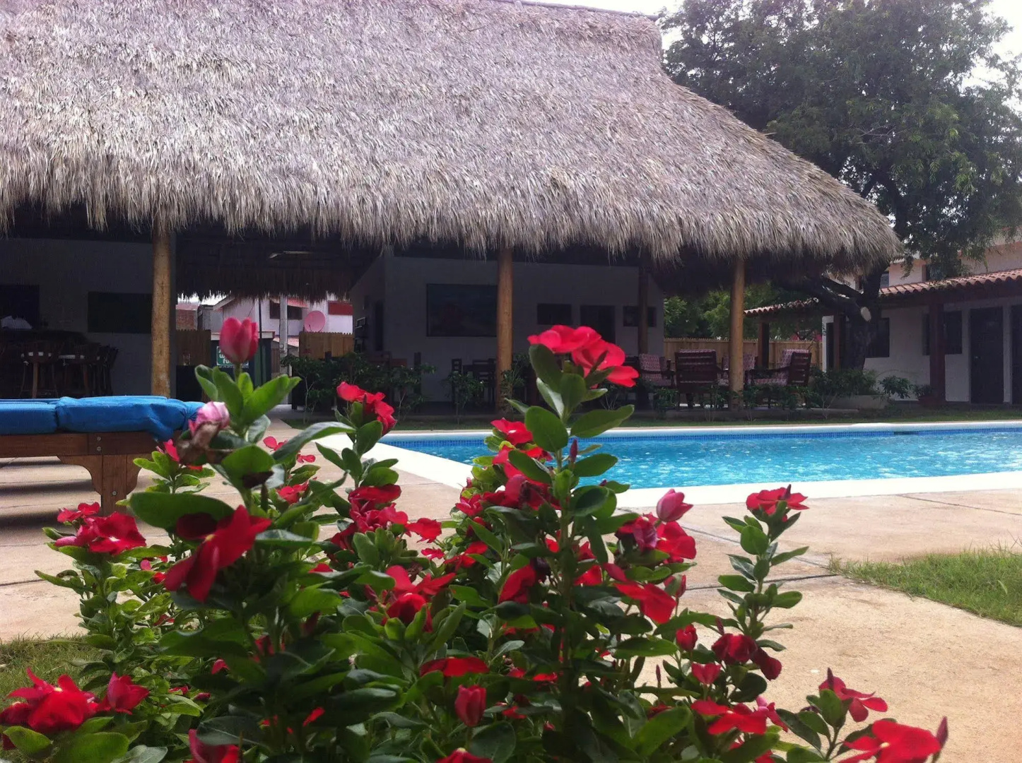 Machele' s Place Beachside Hotel & Pool