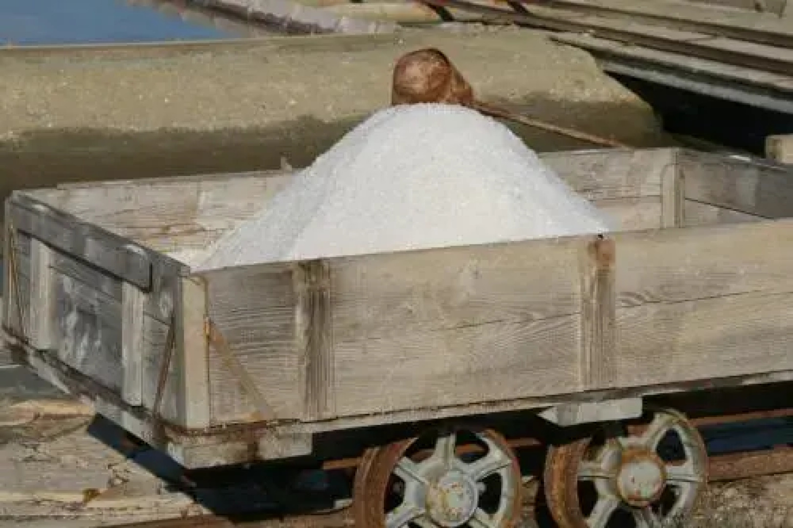 Rooms & Apartments Giulia