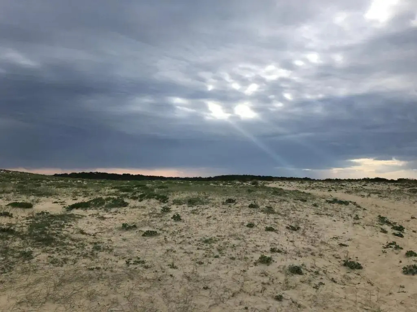 Jolie petite maison à Vieux Boucau avec piscine chauffée - Domaine du Golf de Pinsolle