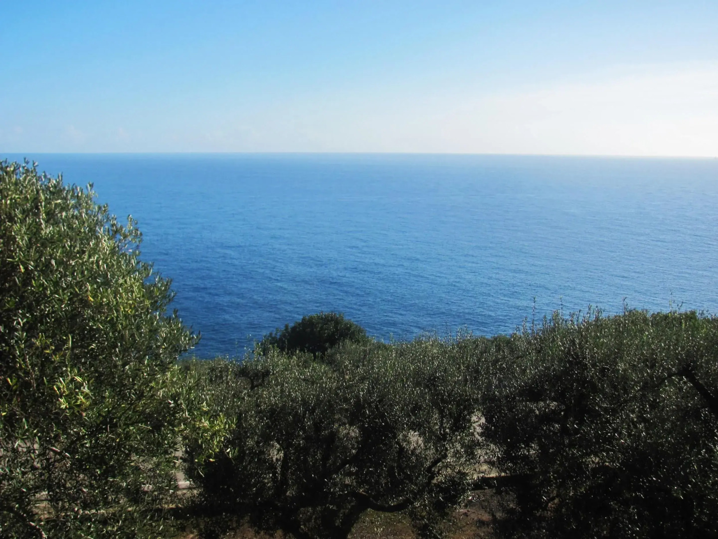 Foresta Forte Casa in Pietra Vicino al Ciolo