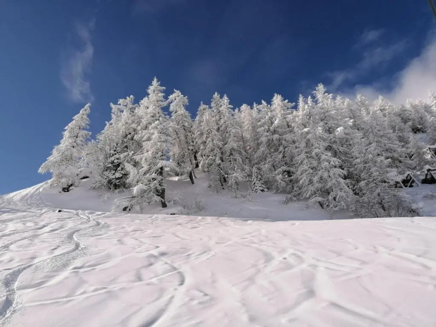 Ferienwohnung Holzer
