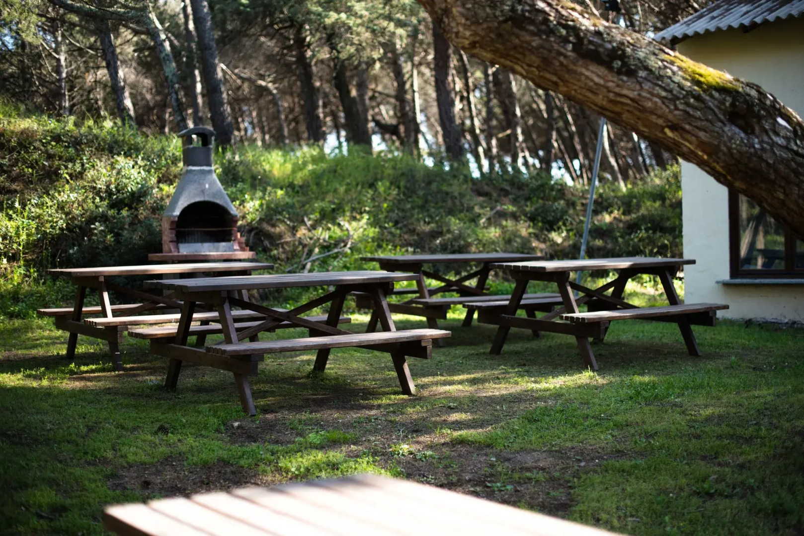 Casa Vacanza Bibbona