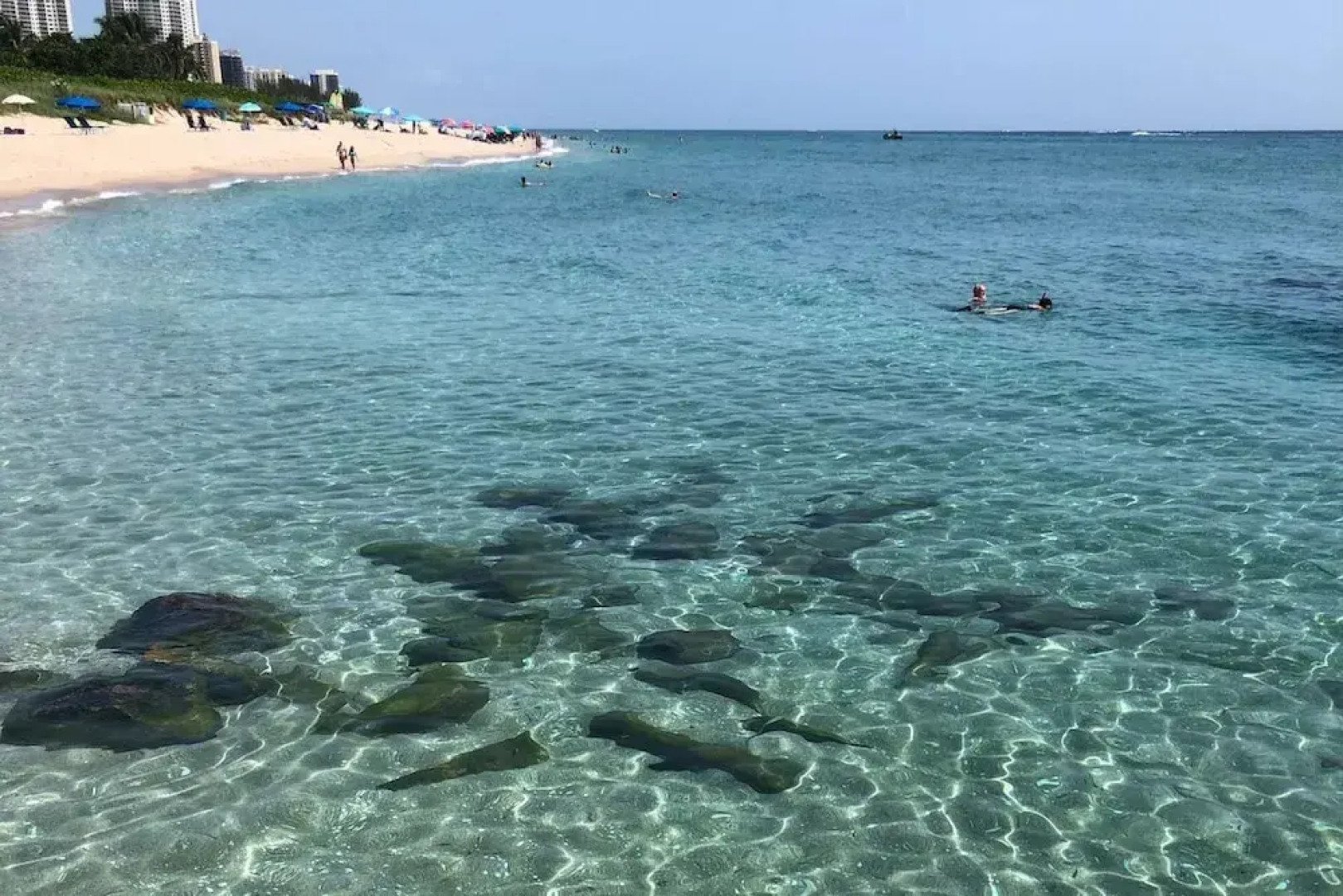 Portside by Singer Island Vacation Rentals