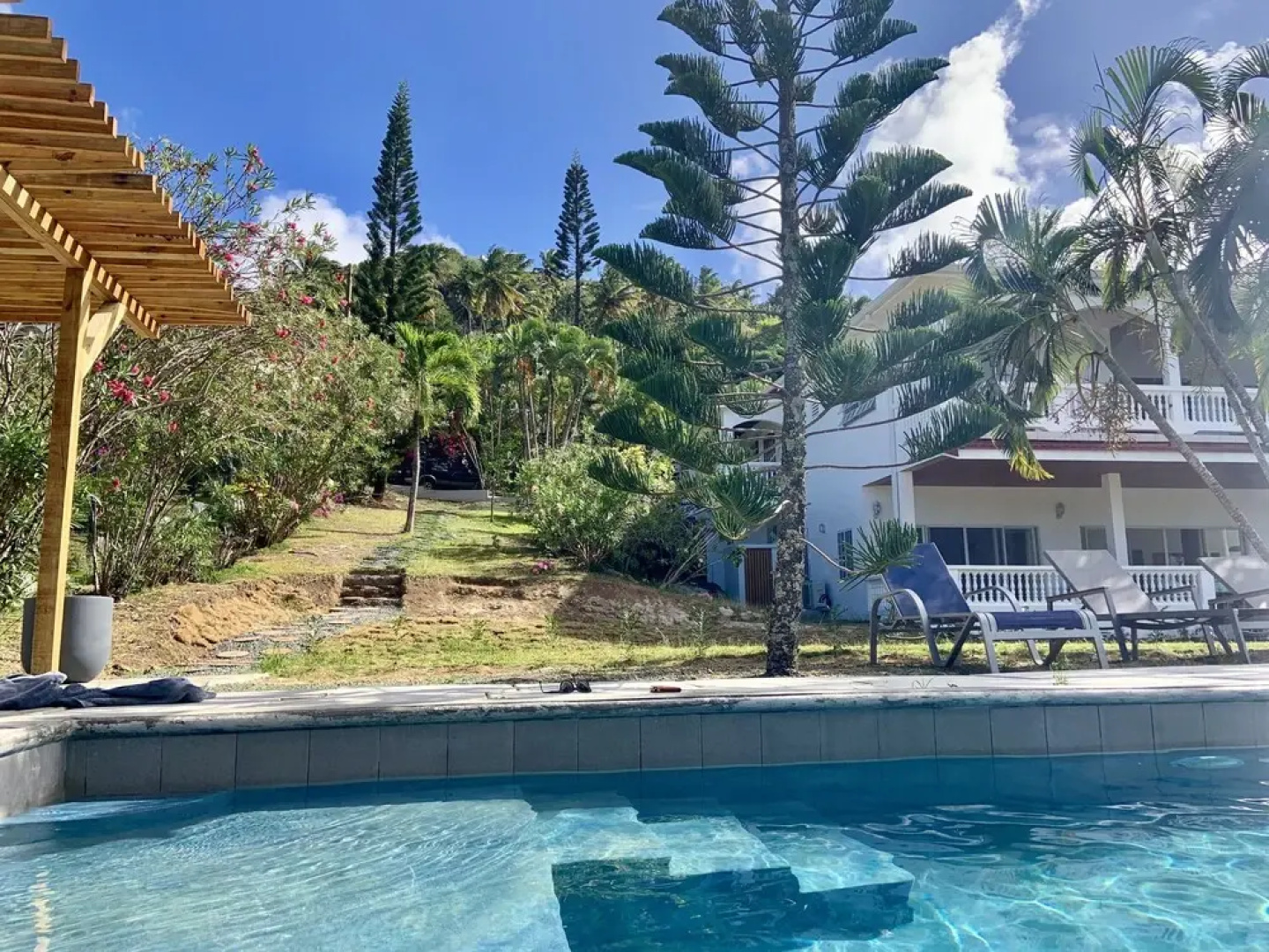 A Paradise View