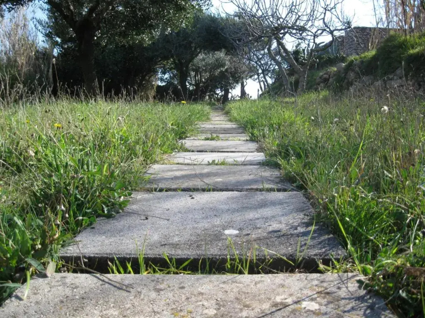 Villa Ninetta-Isabella