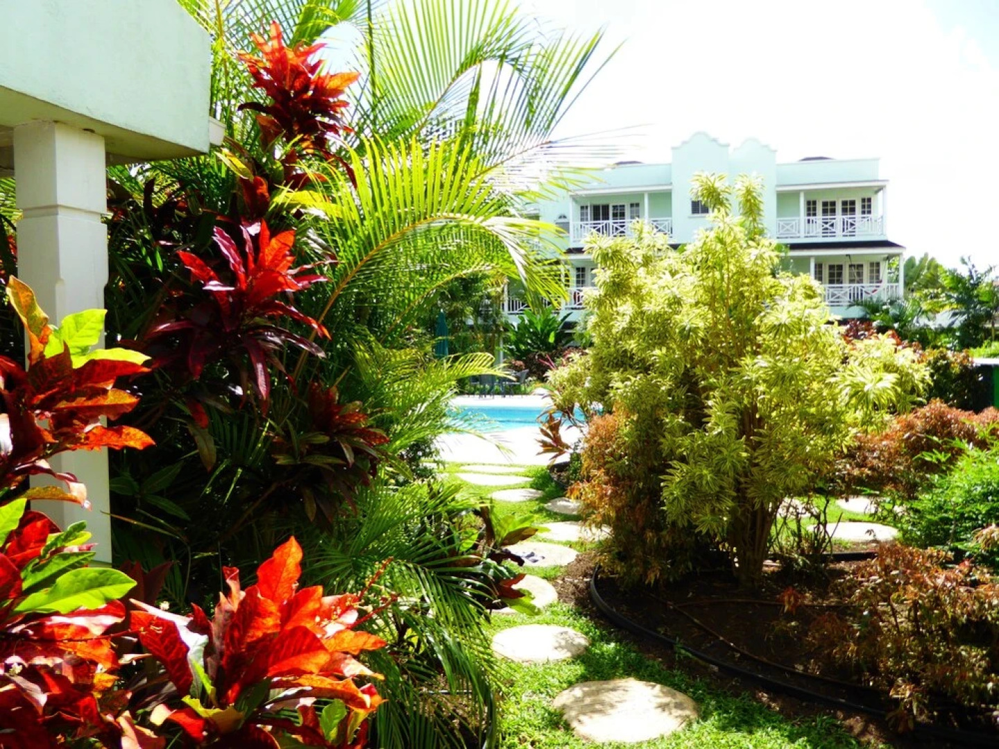 Great Apartment in Bridgetown, Barbados Bargain