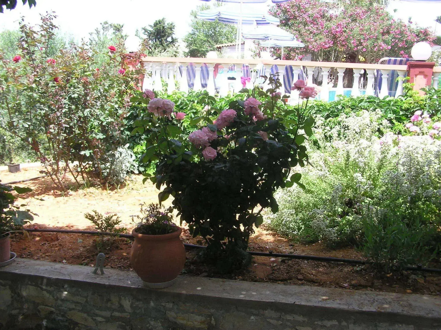 Knossos Apartments