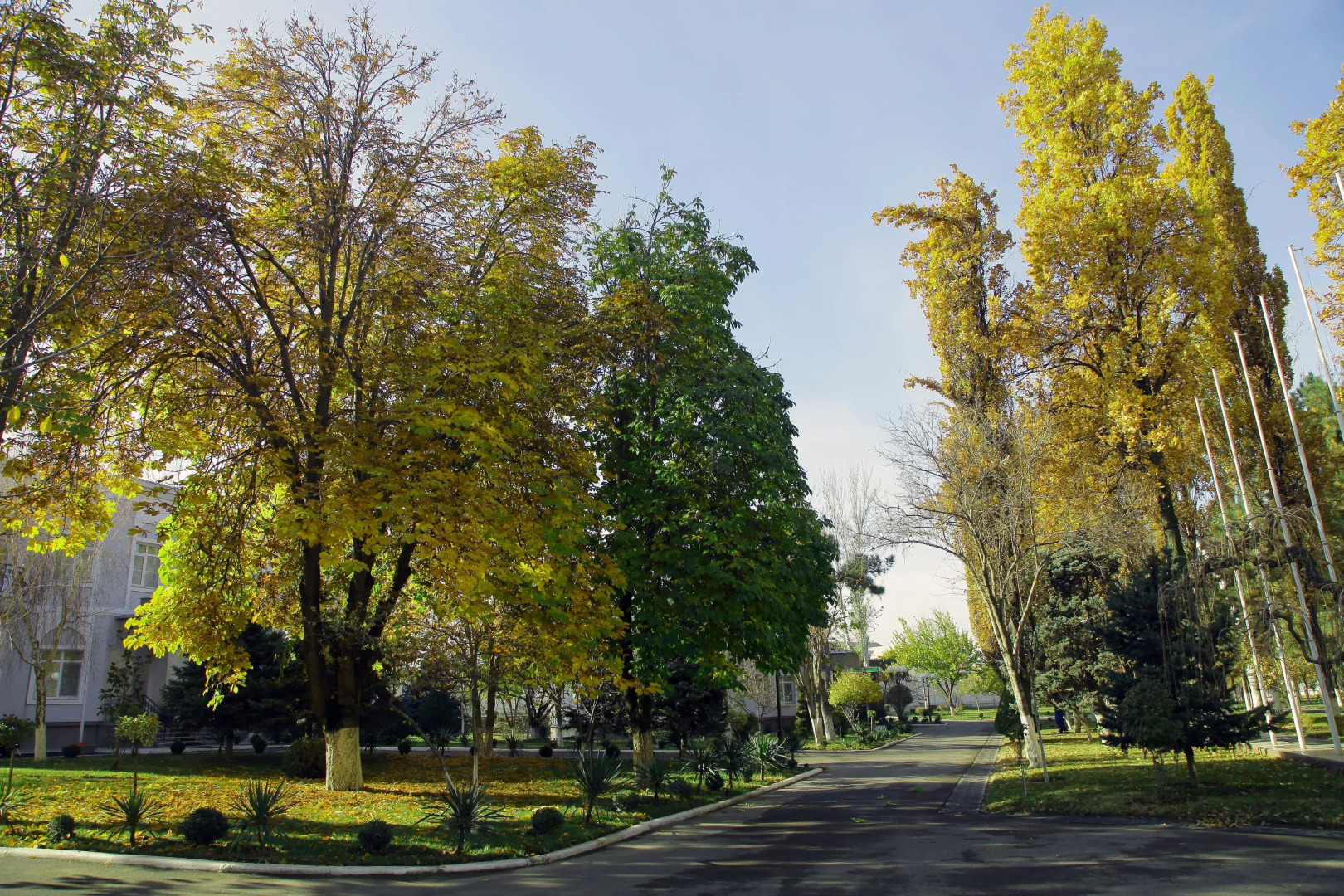 Отель Residence Park