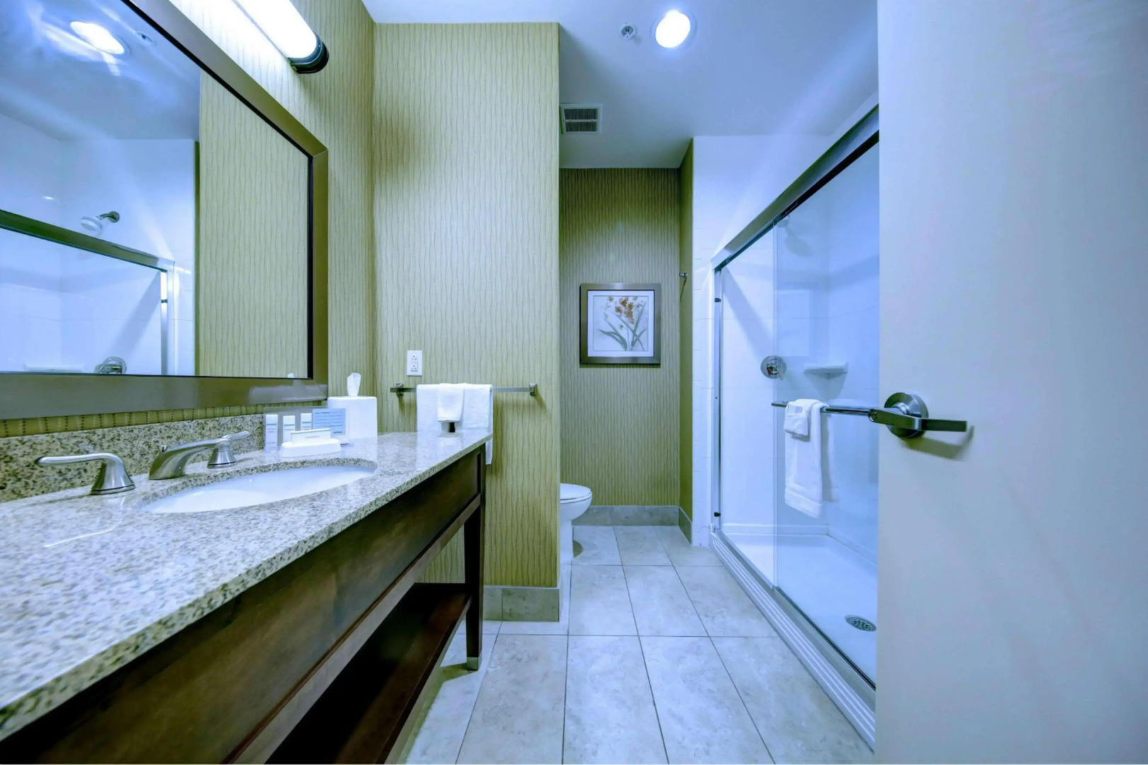 Hampton Inn & Suites Harrisburg/North