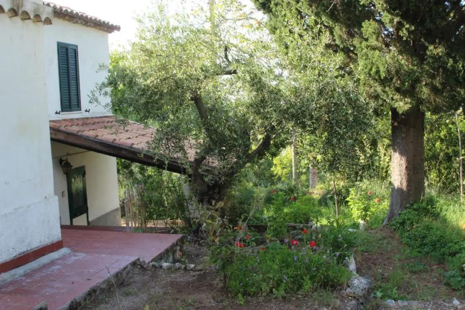 Tenuta Conte Ruggero