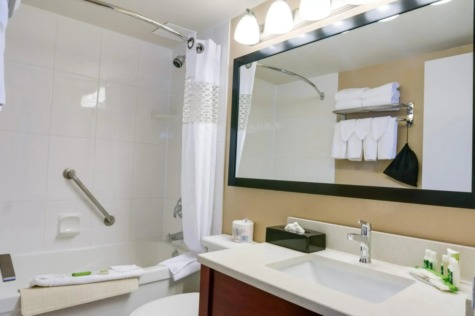 Best Western Plus Suites Downtown