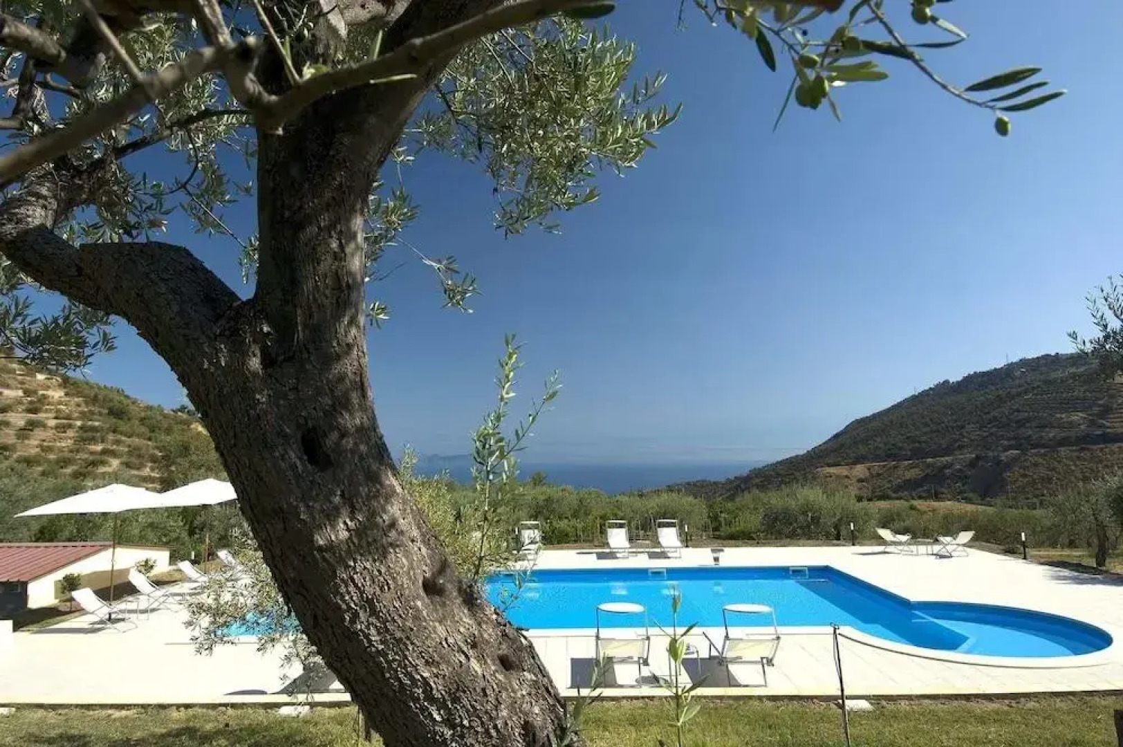 La Collina degli Ulivi