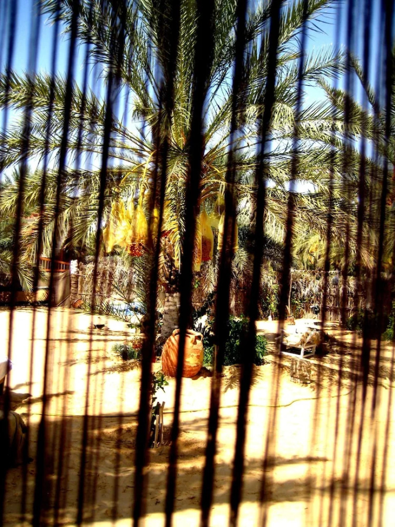 Hébergement Proche de Désert à Douz