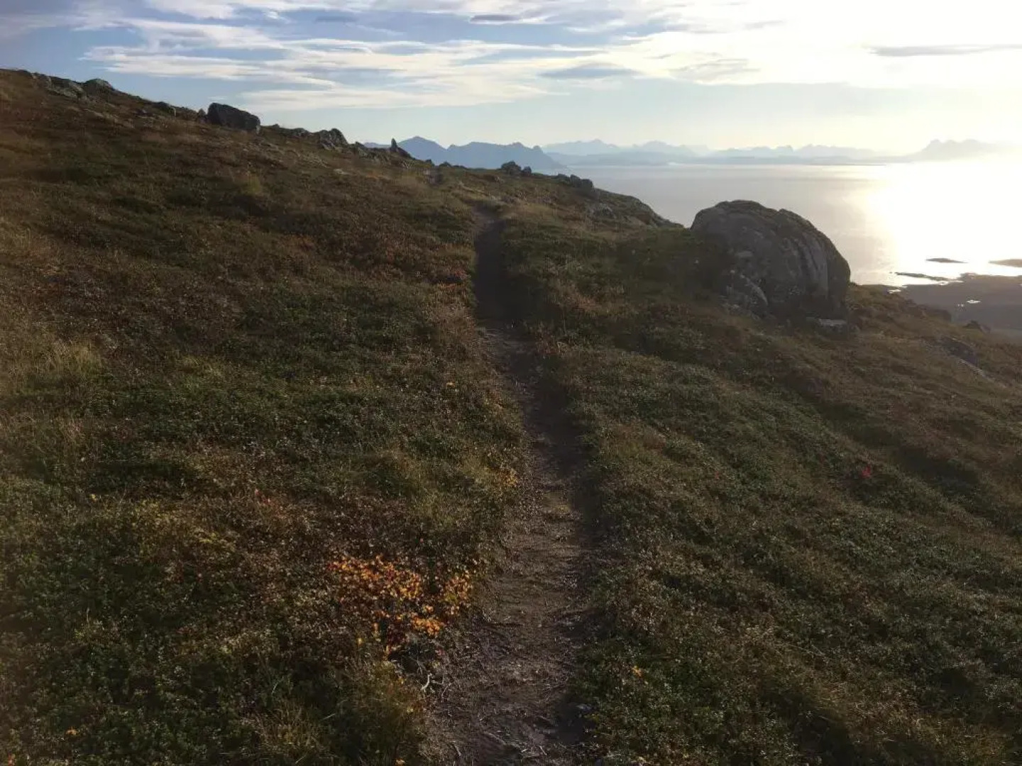 The Old Harbour Store