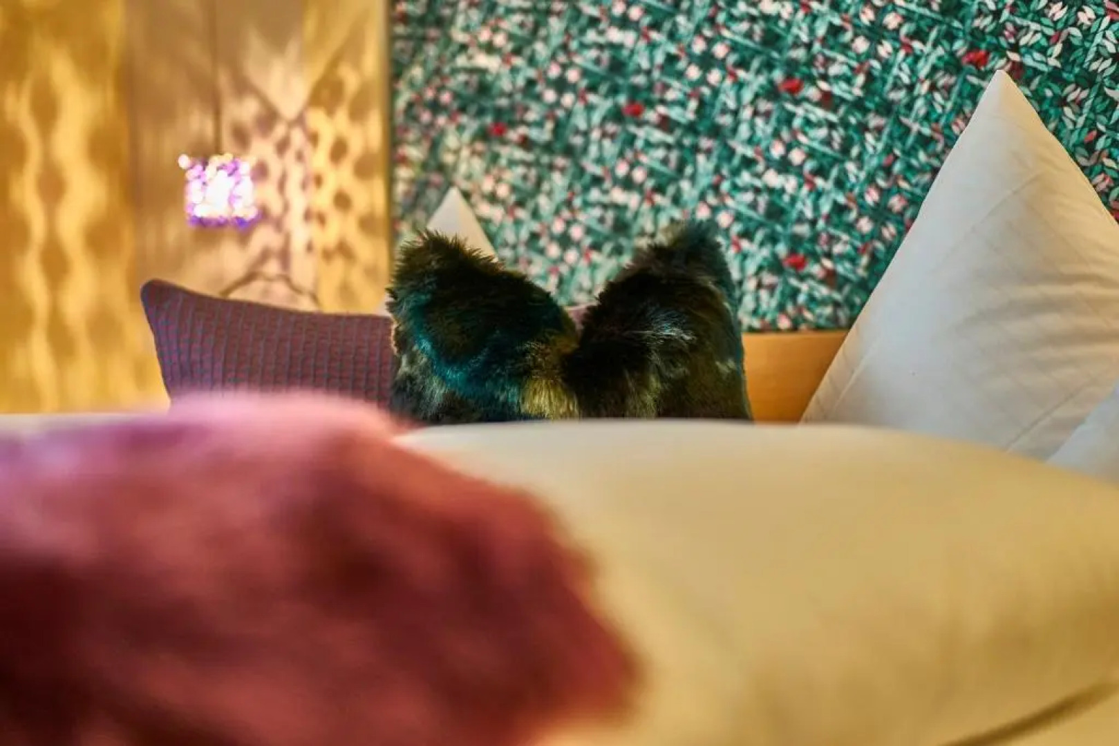 Spirit & Spa Hotel Birkenhof am Elfenhain