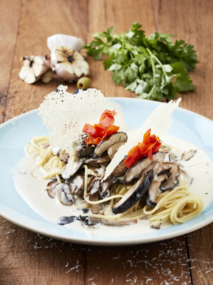 The Soom Forest Hotel