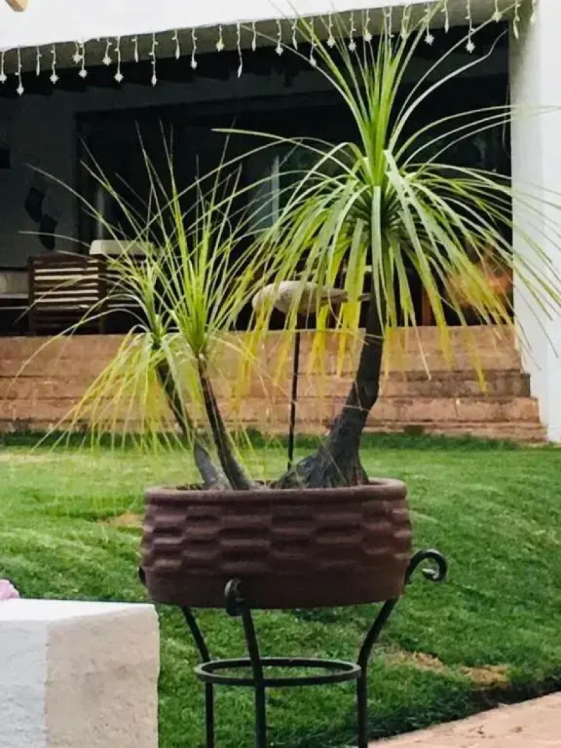 La Escapada Cuernavaca