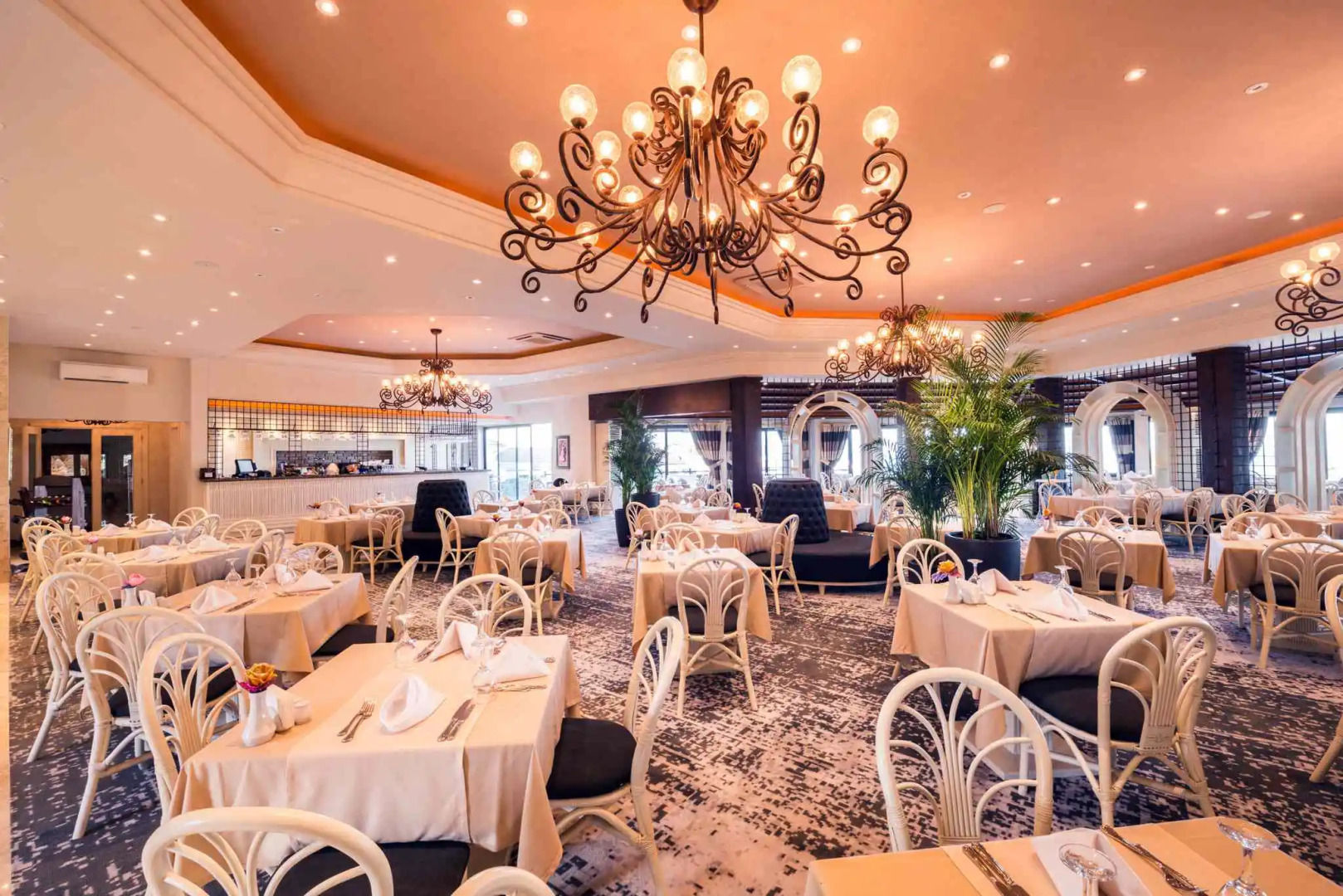 The Olive Tree Hotel