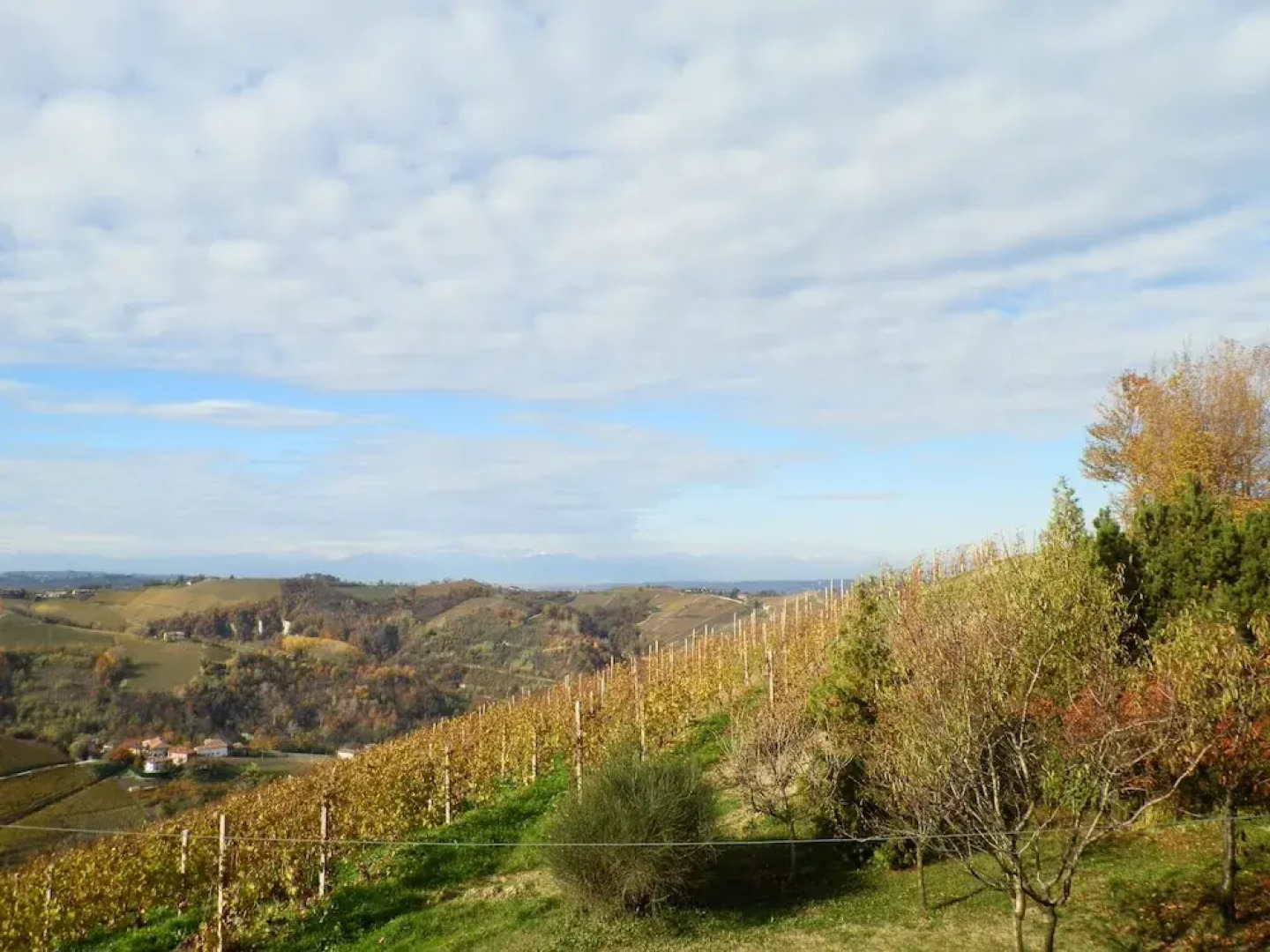 The Bread Oven House