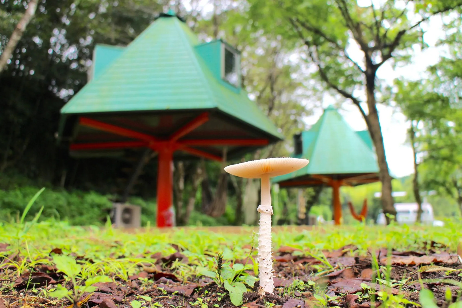 Satonotabi Resort Lodge Kiyokawa