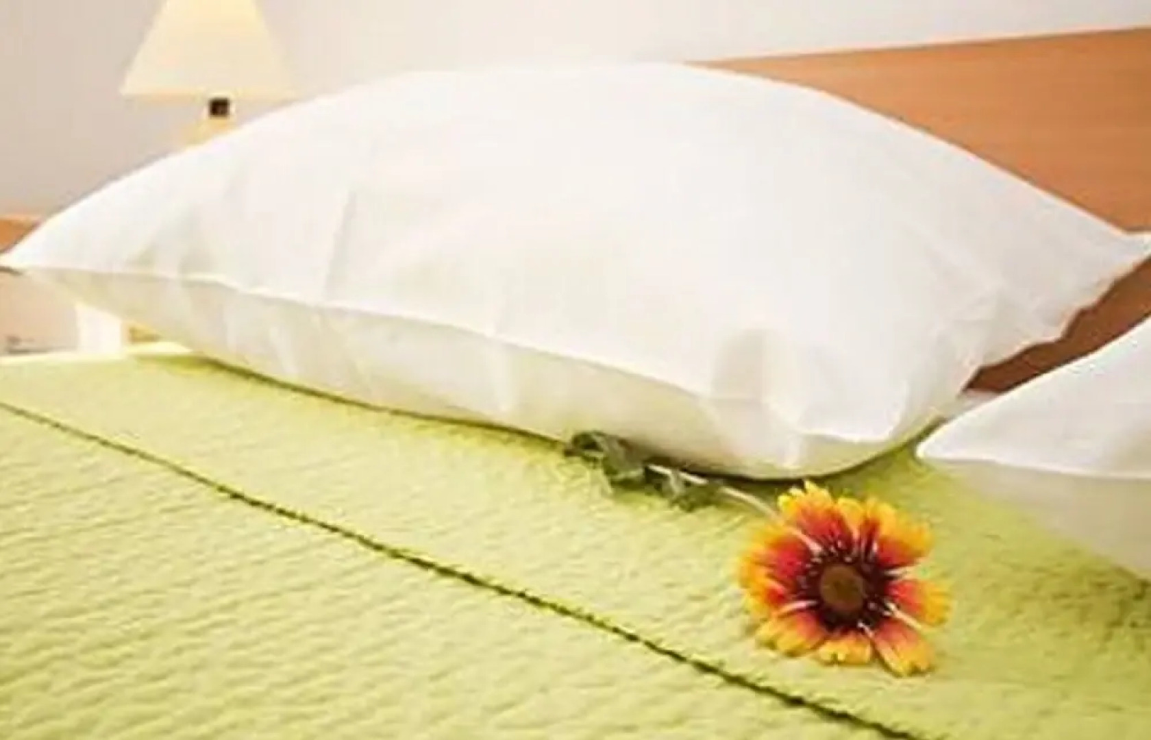 Ljilja - 10m From the sea With Parking - A2