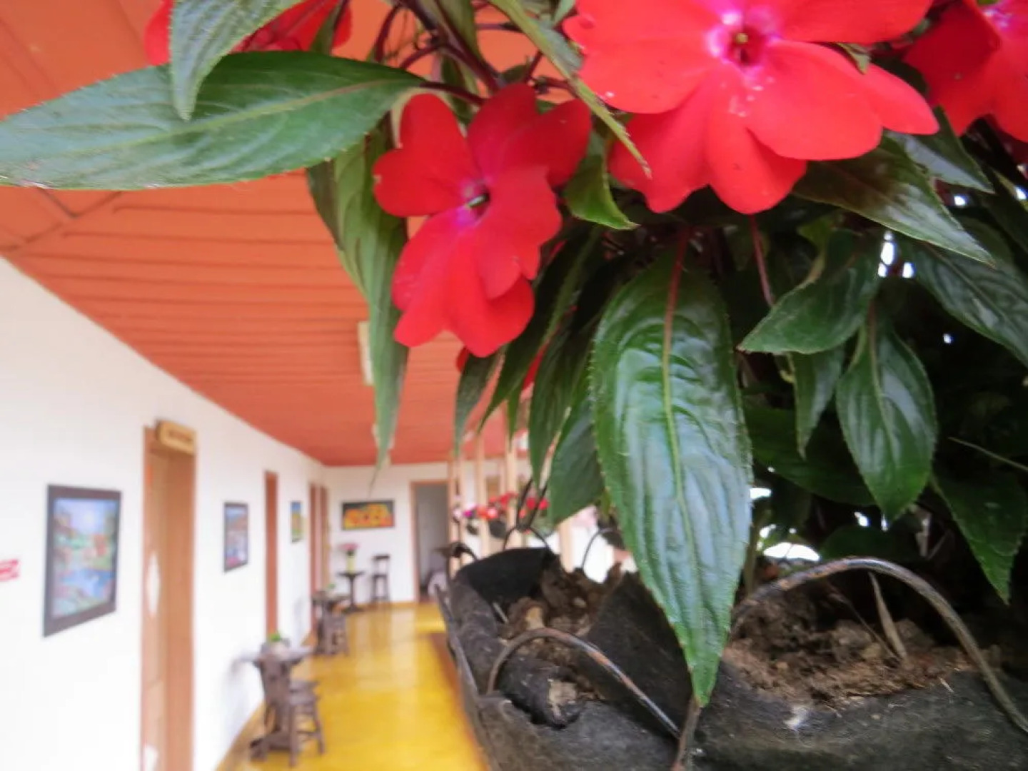 Finca Recreacional Marcelandia